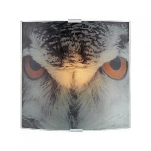 Owl vägglampa (Flerfärgad)